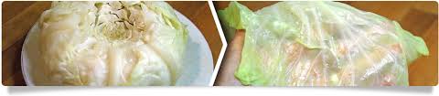 Así que cuando quiero comer col agria preparo un sucedáneo que sabe prácticamente igual. Clinica Aureo Rollitos De Col Blanca Rellenos Con Verduras