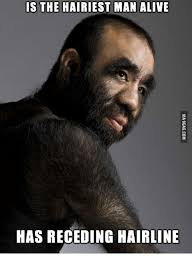 With their stunningly on fleek brows and luscious locks, pisces is definitely the prettiest sign. 25 Best Time Of The Apes Memes Hairlines Memes