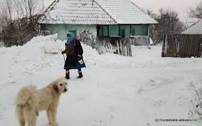 Image result for poze bucuresti iarna