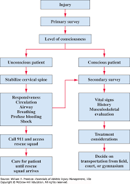 Handling Emergency Situations And Injury Assessment