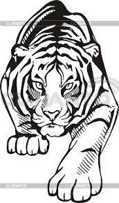 Animal Stencil Tiger Drawing Tiger Art