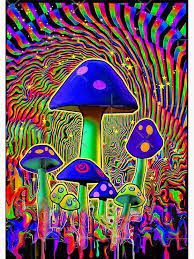 Mind Melt Mushrooms Black Light Poster By Trendira In 2021 Hippie Wallpaper Trippy Painting Trippy Wallpaper Pixies 'n' faeries 'n' elves make merry in the magical mushroom garden. pinterest