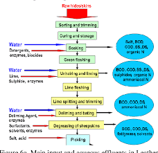 Image result for Tessmannia burttii
