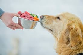Dog food articles and review (2020) , the best dog care and health articles > 4 best low fat dog foods: Top 9 Healthiest Dog Foods Lovetoknow