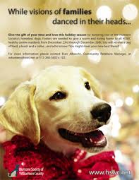 Fill our our dog foster form if you think you can help. Pictures With Quotes About Fostering A Dog Quotesgram