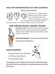Jun 04, 2021 · introduction — as the knee has the largest articulating surface of any joint and is weightbearing, it is not surprising that it is among the most commonly injured body parts. Screw Home Mechanism Pdf