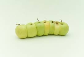 A Colorful Winter Organized Fruits And Vegetables Photographed By Florent Tanet Vegetables Photography Food Art Still Life Photography