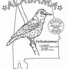 Alabama State Bird Worksheet Education Com State Birds Alabama State Bird Bird Coloring Pages