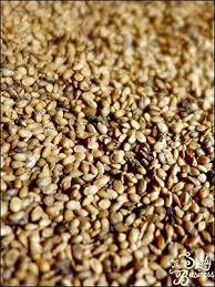 Image result for Milicia excelsa