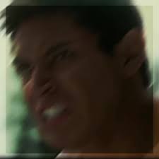 New oc Donne , Falcons brother. Info- Name:Donne Male/Straight Mate:No  Crush:I don't know Forms:wolf/Human *Tags* #wolfrp #twilightoc #dogrp  #twilight #wolf #fyp