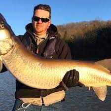 The muskellunge (esox masquinongy) often shortened to musky or muskie is a large freshwater fish native to north america and is the largest member of the pike family. Probable Tennessee State Record Muskie Caught In East Tennessee Wtvc
