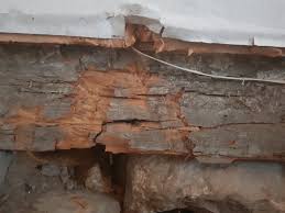 Image result for site:byggahus.se byggare