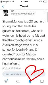 Pin By Superduperstephanie On Shawn M Shawn Mendes Facts Shawn Mendes Funny Shawn
