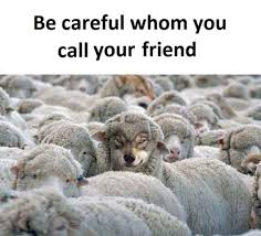 Image result for Suckers to date, cows to call. Sheri Beth Jarrot.