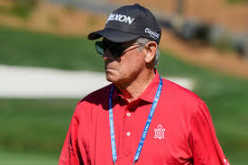 Image result for April Green 1977 Colt