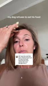 Why Wont My Dog Eat His Food Unless Im Next to Him