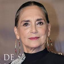 Watch Live TV, Movies, and TV Shows Free Online