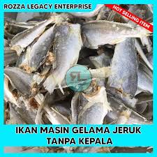 Ikan masin gelama (page 1) ikan kering gelama belah/ ikan masin gelama family jannati: Buy Ready Stock Ikan Masin Gelama Tanpa Kepala Perut 450g Seetracker Malaysia