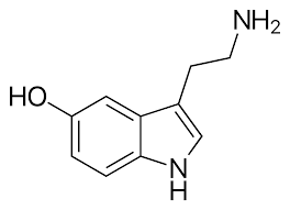 Selective Serotonin Reuptake Inhibitor Wikipedia