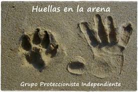 Soñé que estaba caminando por la playa con el señor y, a través del cielo, pasaban escenas de mi vida. Huellas En La Arena Grupo Proteccionista Independiente Home Facebook