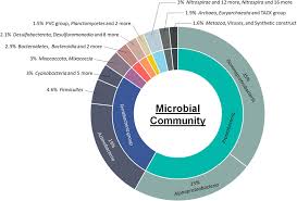 Art 5 aplicarea prioritara a dreptului uniunii europene. Frontiers Metagenomic Insights Into Functional And Taxonomic Compositions Of An Activated Sludge Microbial Community Treating Leachate Of A Completed Landfill A Pathway Based Analysis Microbiology