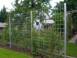 Spalier Spalier Gartenbau Sichtschutz Garten