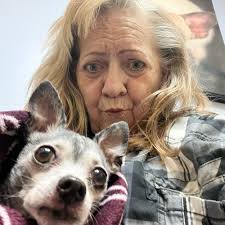 TOP 10 BEST Pet Boarding/Pet Sitting near Dallas, TX