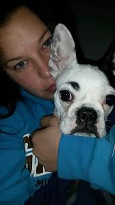 Do other Yorkies have big ears?