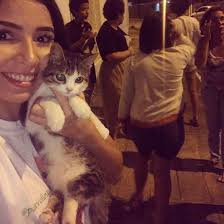 Gato deficiente que havia sido levado da porta de casa é encontrado em  Maceió, AL