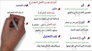 pin on اللغة العربية