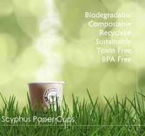 Why Choose Compostable Paper Cups - Biodegradable Paper Cups