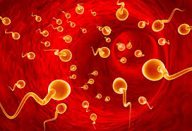 At this time, the man i met was like a landscape that opens the door to my new world. Sperm Motility How Does It Affect For Conception