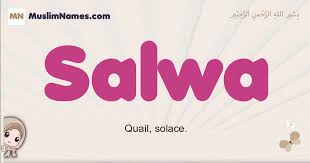 Salwa Meaning Of The Muslim Baby Name Salwa