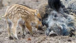 Caroline Carr Nude - Making Of Exclusive Content