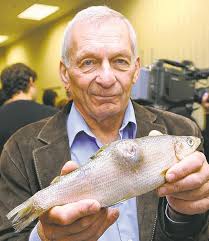 Ecologist calls for ELA to test fish deformities