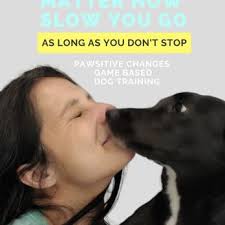 THE BEST 10 PET TRAINING near SHELBYVILLE, KY