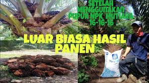 Barzah adalah tempat seseorang melihat sebagian balasan dari amalnya. Download Erwin Tawa Channel Mp4 Mp3 3gp Naijagreenmovies Fzmovies Netnaija