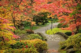 Take A Walk Through These Lovely Japanese Gardens Seattle Japanese Garden Japanese Garden Japanese Garden Design