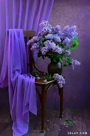 خلفيات فوتوشوب من الطبيعة رائعة لمحبى الفوتوشوب مجموعة صور طبيعية راقية خل Purple Flowers Lilac Flowers Beautiful Flowers