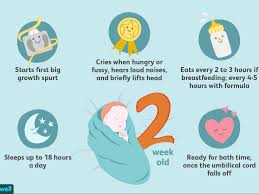 Plus when bub is really little you can even skip a day if you want, i couldn't believe this secret when another mum told me but it made sense new borns don't really get that dirty. Your 2 Week Old Baby Development Milestones