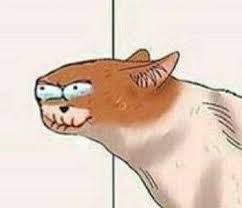 Roasting lemons mellows their tartness and creates a layer of caramelized flavor that pairs well with the raw broccoli and savory quinoa in this healthy chicken dinner salad. Well When Life Gives You Lemons Lemon Vine Music Plays Funny Pictures Memes Vines