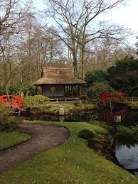 Filming Our Last Takes For The Bonsai Intermediate Course Today In A Stunning Japanese Garden Stay Tuned Bonsai Japanese Garden Pool Plants Bonsai