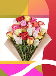 Birth Flowers For Each Month Everything To Know About Your Birth Flower In 2020 Birth Flowers January Birth Flowers Birth Month Flowers