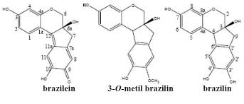 Image result for Caesalpinia sappan