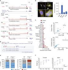 Kadar bantuan dana raya terengganu 2020 pautan portal dana raya online Regulation Of Chd2 Expression By The Chaserr Long Noncoding Rna Gene Is Essential For Viability Nature Communications