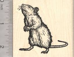 Rat And Mouse Rubber Stamps Rubberhedgehog Com Nature Scene Tattoo Rats Custom Rubber Stamps