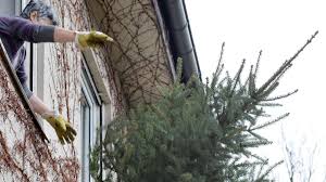 Als Ikea Das Weihnachtsende Erfand Panorama