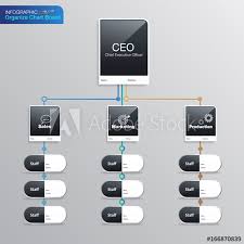 Organize Chart Infographic Business Structure Name Board
