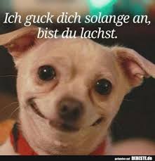 Lacheln Lustig Humor Lustige Bilder Spruche Totlachen Lustige Bilder