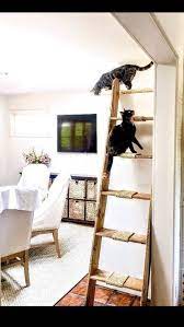 Cadder Cat Ladder Cadder Cat Furniture Cat Ladder Cat Furniture Diy Cat Furniture